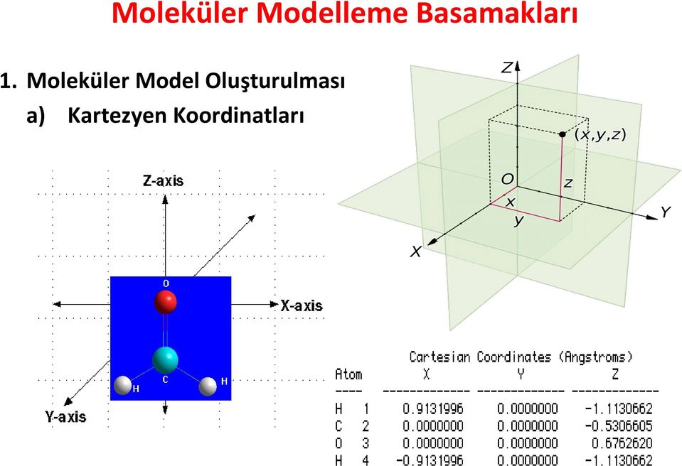 Moleküler Model