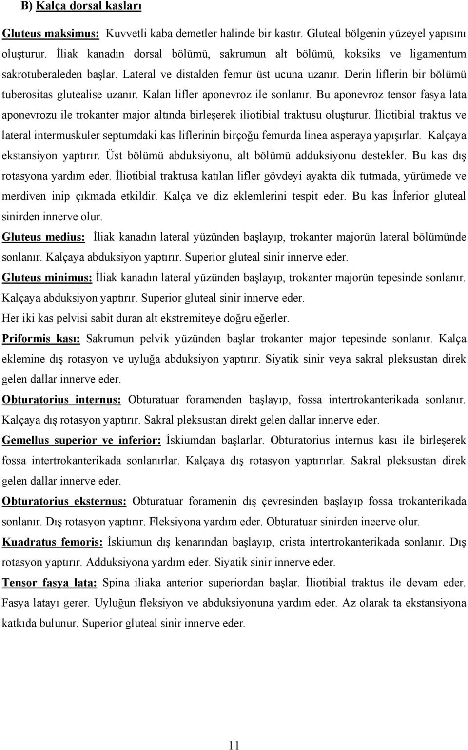 Kalan lifler aponevroz ile sonlanır. Bu aponevroz tensor fasya lata aponevrozu ile trokanter major altında birleşerek iliotibial traktusu oluşturur.