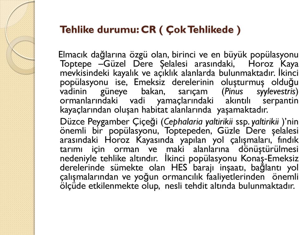 İkinci popülasyonu ise, Emeksiz derelerinin oluşturmuş olduğu vadinin güneye bakan, sarıçam (Pinus syylevestris) ormanlarındaki vadi yamaçlarındaki akıntılı serpantin kayaçlarından oluşan habitat