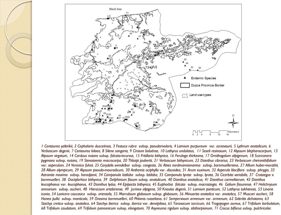 virgatum, 14 Carduus nutans subsp. falcato-incurvus, 15 Fritillaria bithynica, 16 Ferulago thirkeana, 17 Ornithogalum alpigenum, 18 Scorzonera pygmaea subsp.