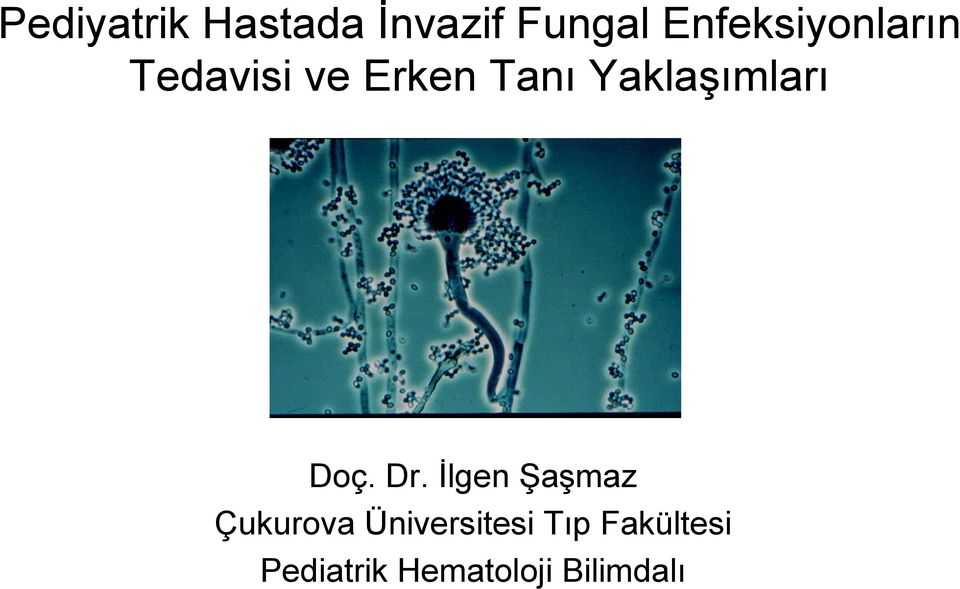 Yaklaşımları Doç. Dr.