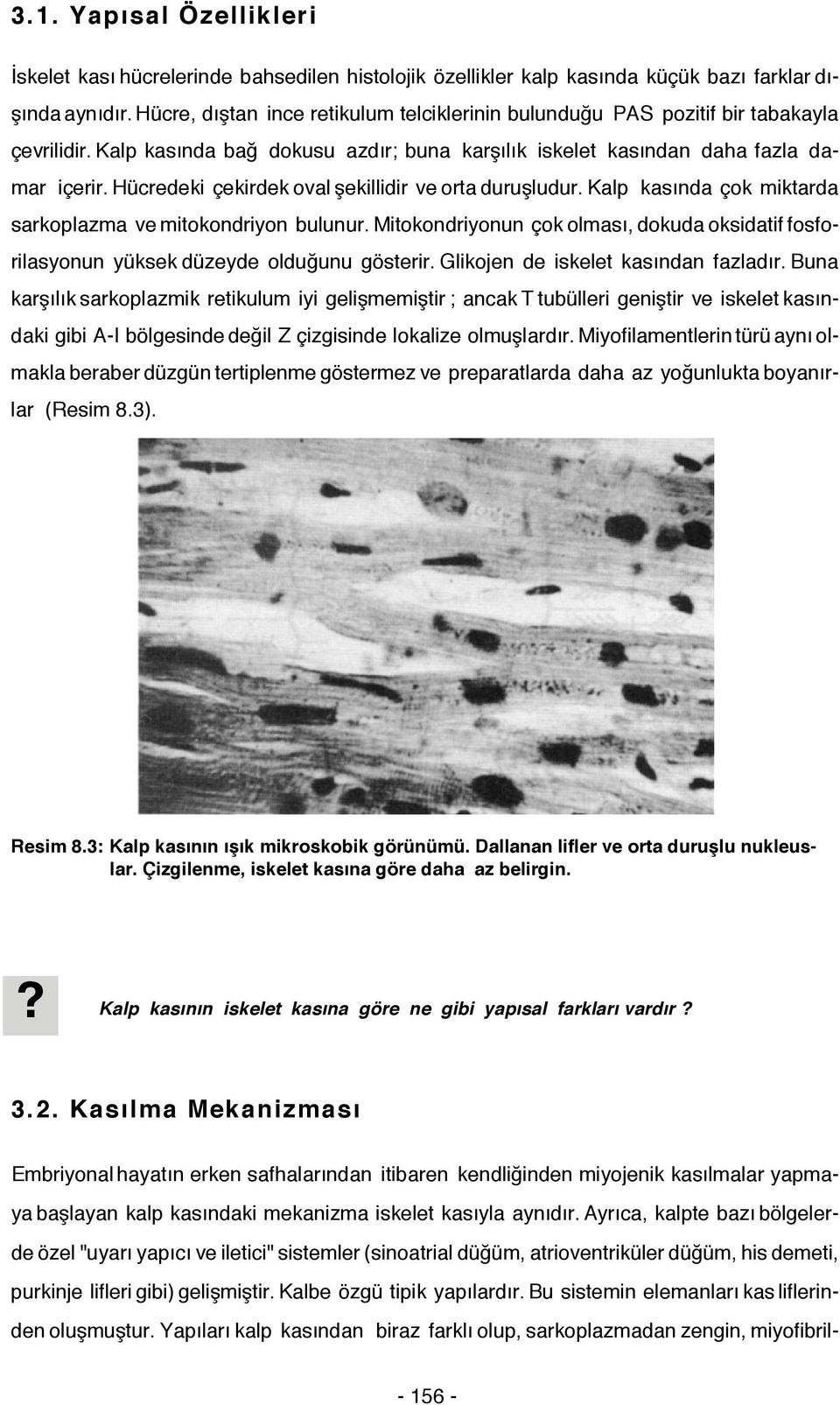 Hücredeki çekirdek oval şekillidir ve orta duruşludur. Kalp kasında çok miktarda sarkoplazma ve mitokondriyon bulunur.