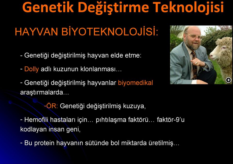 biyomedikal araştırmalarda -ÖR: Genetiği değiştirilmiş kuzuya, - Hemofili hastaları için