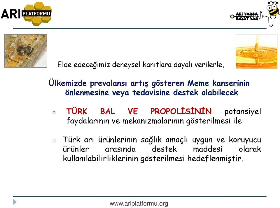 faydalarının ve mekanizmalarının gösterilmesi ile o Türk arı ürünlerinin sağlık amaçlı uygun ve