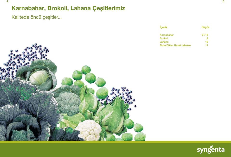 .. çerik Sayfa Karnabahar Brokoli