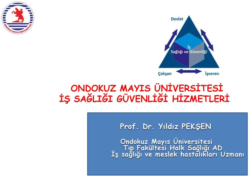 Yıldız PEKŞEN Ondokuz Mayıs Üniversitesi Tıp