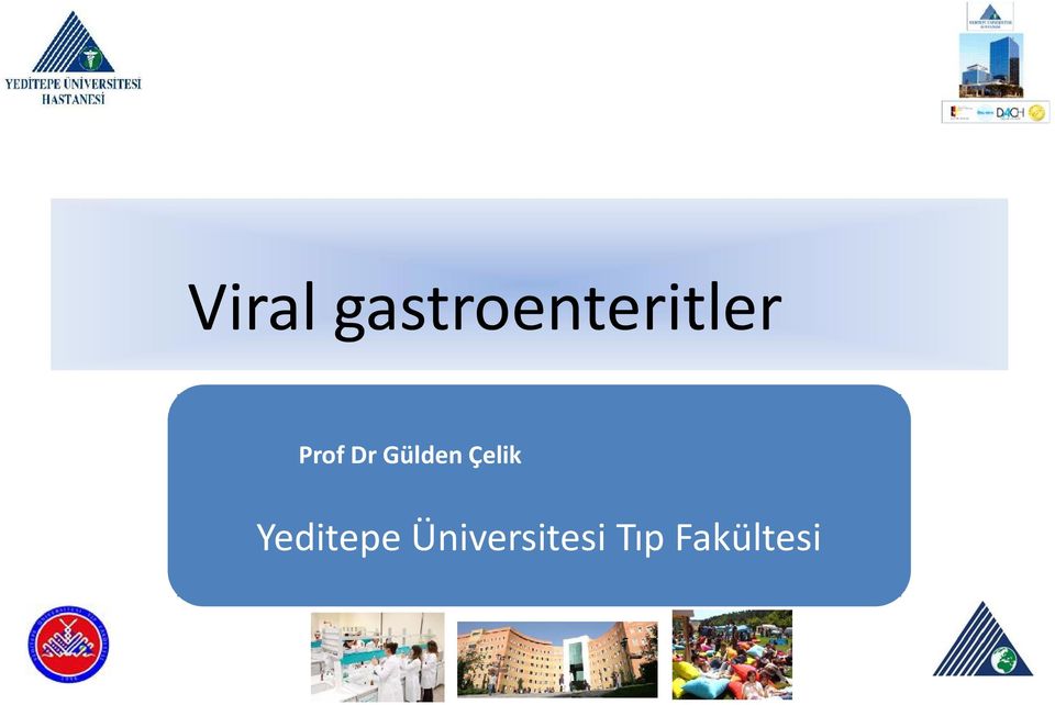 Prof Dr Gülden