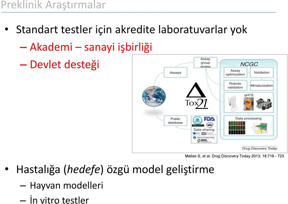 Hastalığa (hedefe) özgü model geliştirme Hayvan modelleri İn