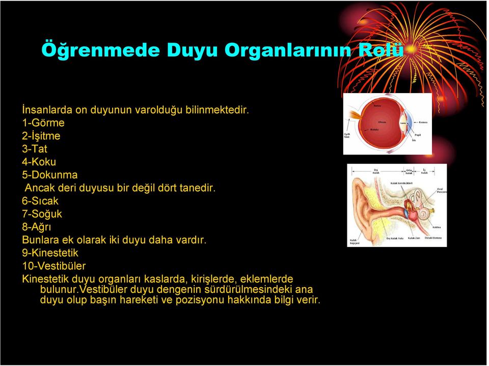 6-Sıcak 7-Soğuk 8-Ağrı Bunlara ek olarak iki duyu daha vardır.