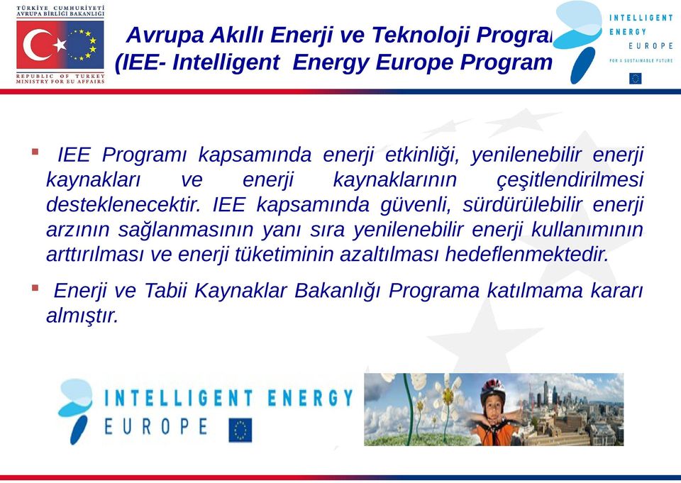 IEE kapsamında güvenli, sürdürülebilir enerji arzının sağlanmasının yanı sıra yenilenebilir enerji kullanımının