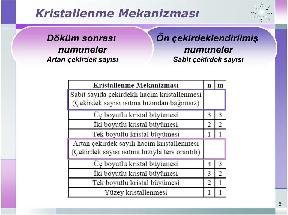 çekirdek sayısı Ön