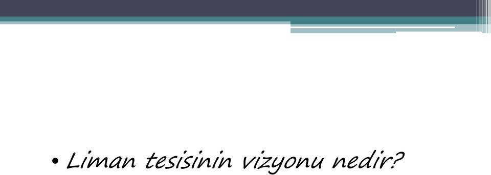 vizyonu