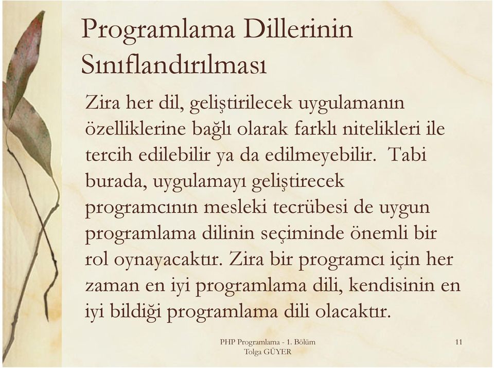 Tabi burada, uygulamayı geliştirecek programcının mesleki tecrübesi de uygun programlama dilinin