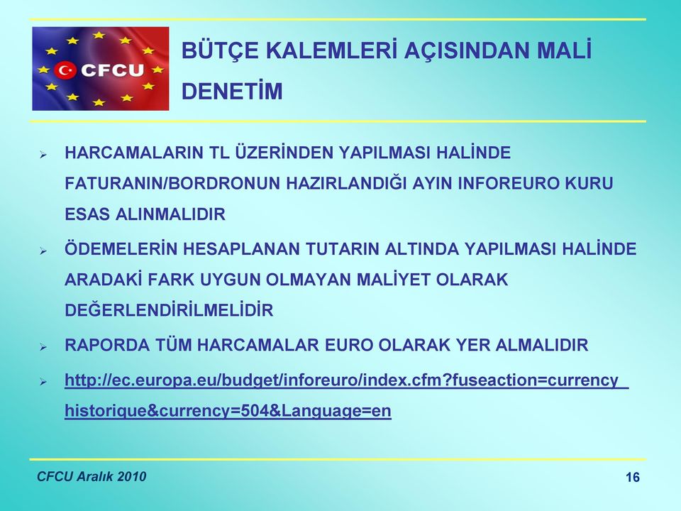 ARADAKİ FARK UYGUN OLMAYAN MALİYET OLARAK DEĞERLENDİRİLMELİDİR RAPORDA TÜM HARCAMALAR EURO OLARAK YER