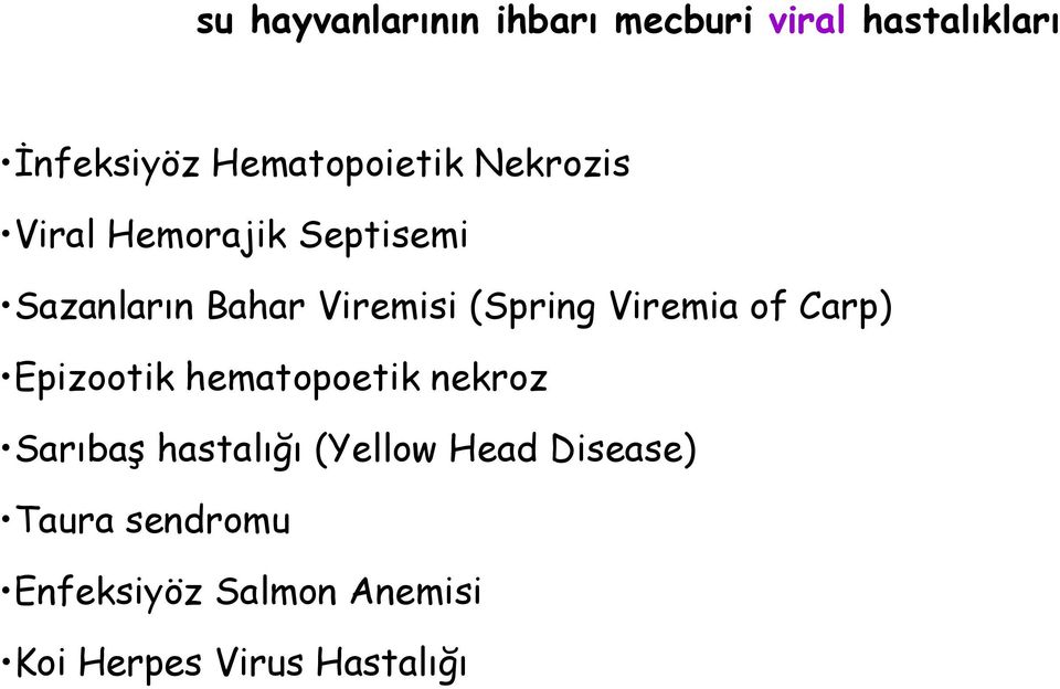 (Spring Viremia of Carp) Epizootik hematopoetik nekroz Sarıbaş hastalığı
