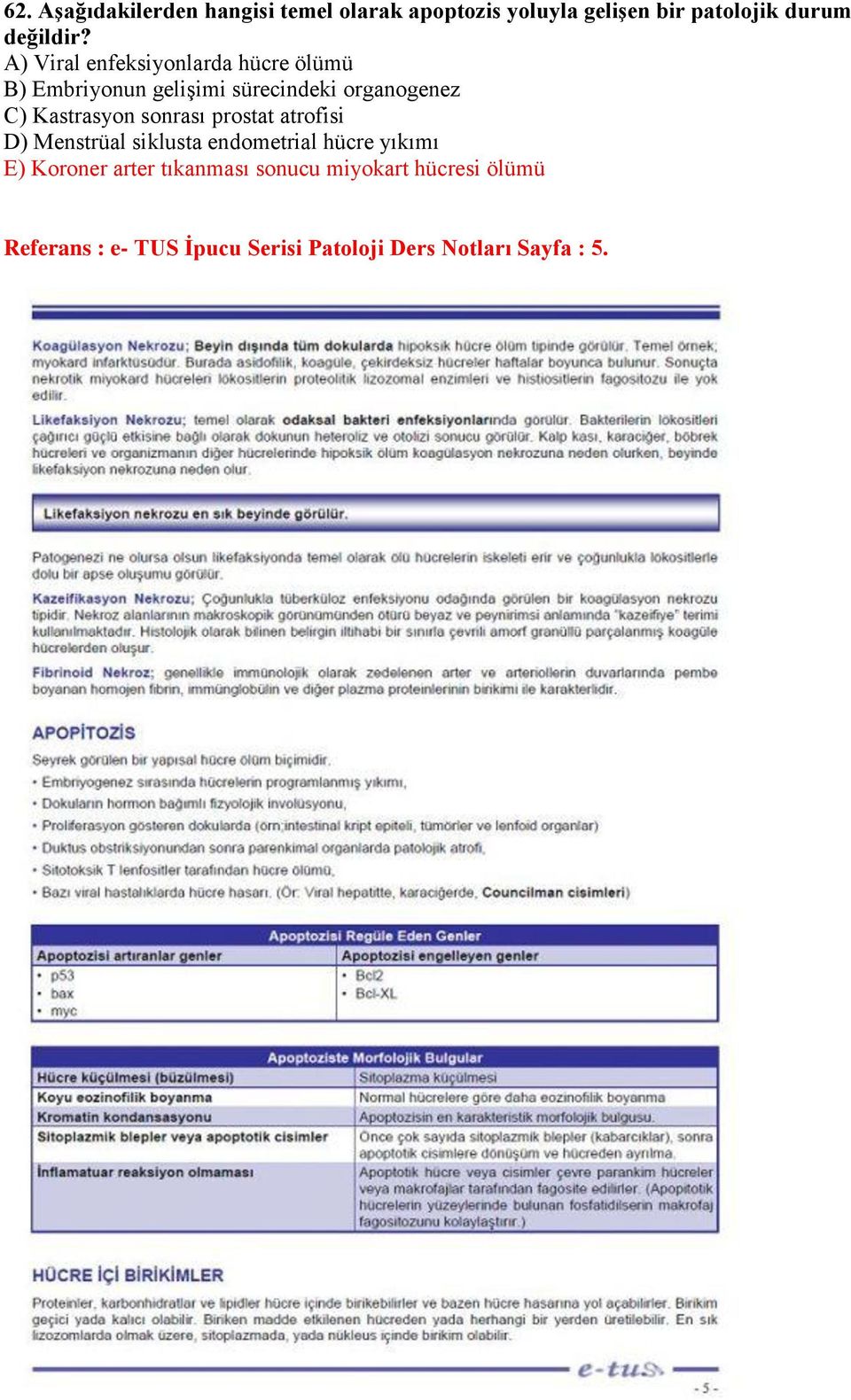 Kastrasyon sonrası prostat atrofisi D) Menstrüal siklusta endometrial hücre yıkımı E) Koroner