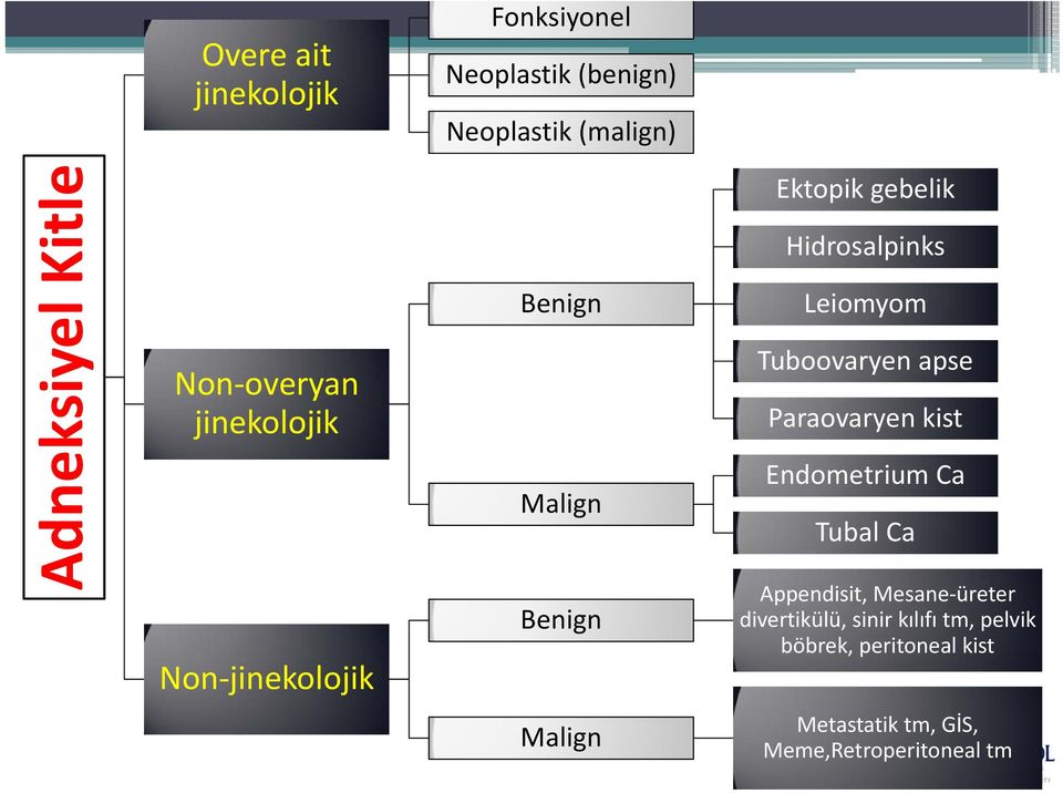 Tuboovaryen apse Paraovaryen kist Endometrium Ca Tubal Ca Appendisit, Mesane üreter divertikülü,