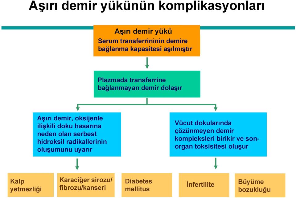 olan serbest hidroksil radikallerinin oluşumunu uyarır Vücut dokularında çözünmeyen demir kompleksleri birikir