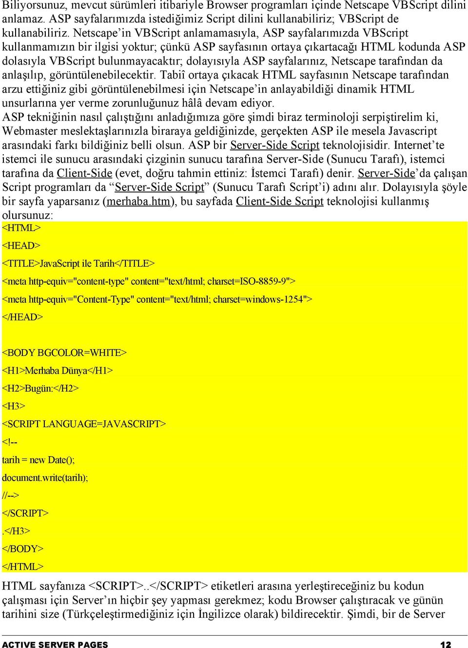 dolayısıyla ASP sayfalarınız, Netscape tarafından da anlaşılıp, görüntülenebilecektir.