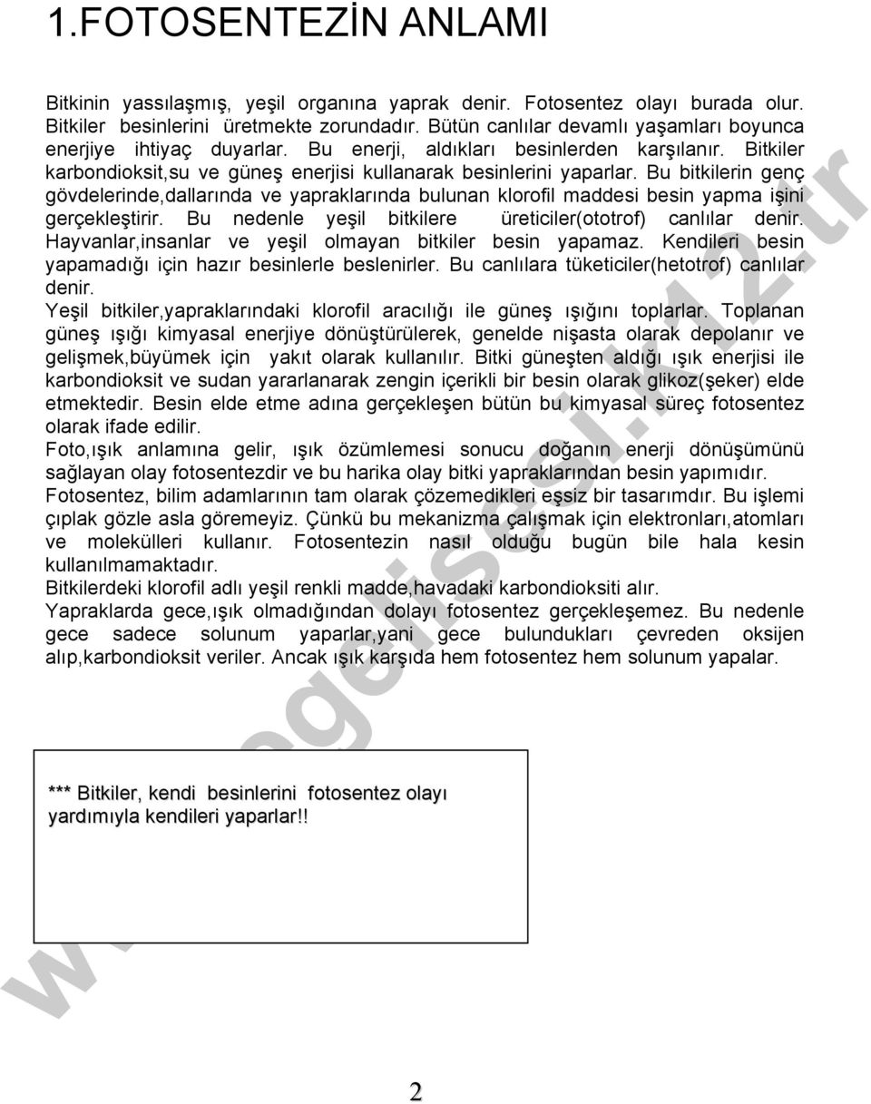 Bu bitkilerin genç gövdelerinde,dallarında ve yapraklarında bulunan klorofil maddesi besin yapma işini gerçekleştirir. Bu nedenle yeşil bitkilere üreticiler(ototrof) canlılar denir.