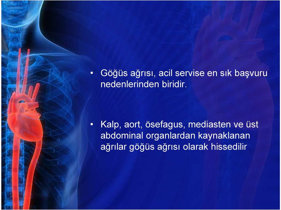 Kalp, aort, ösefagus, mediasten ve üst