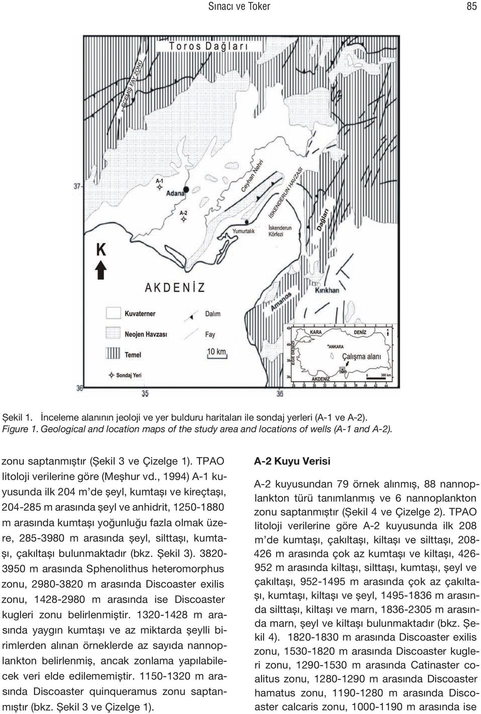 , 1994) A-1 kuyusunda ilk 204 m de şeyl, kumtaşı ve kireçtaşı, 204-285 m arasında şeyl ve anhidrit, 1250-1880 m arasında kumtaşı yoğunluğu fazla olmak üzere, 285-3980 m arasında şeyl, silttaşı,