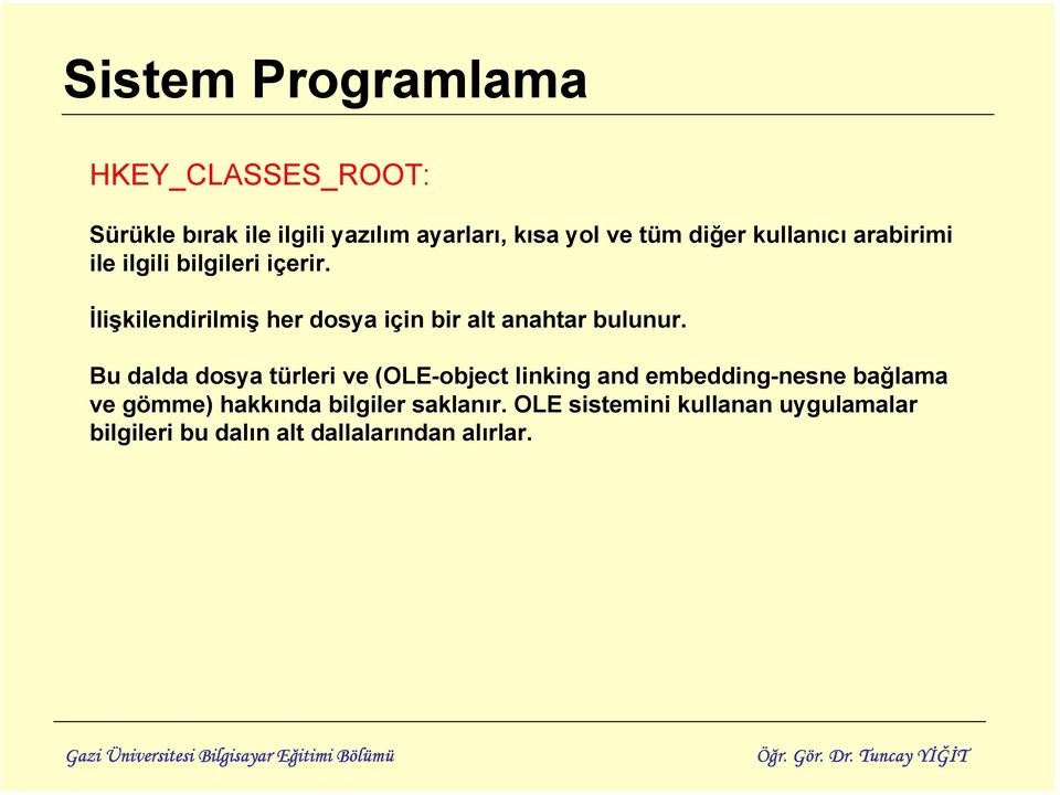 Bu dalda dosya türleri ve (OLE-object linking and embedding-nesne bağlama ve gömme) hakkında