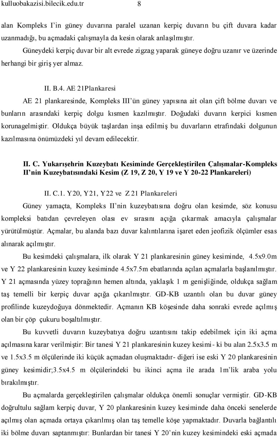 AE 21Plankaresi AE 21 plankaresinde, Kompleks III ün güney yapısına ait olan çift bölme duvarı ve bunların arasındaki kerpiç dolgu kısmen kazılmıştır. Doğudaki duvarın kerpici kısmen korunagelmiştir.