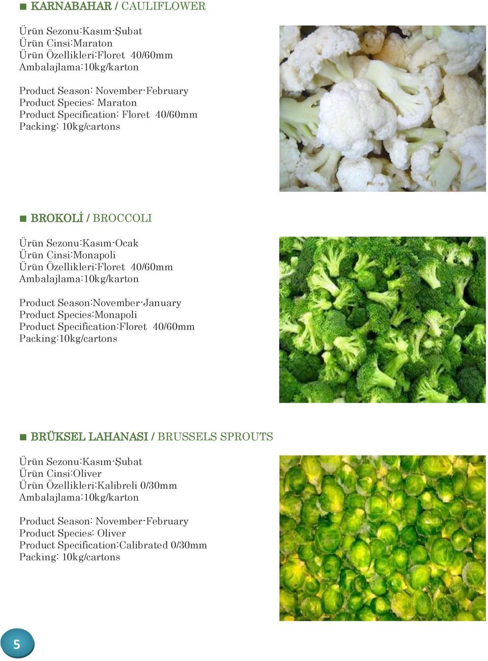 Product Season:November-January Product Species:Monapoli Product Specification:Floret 40/60mm BRÜKSEL LAHANASI / BRUSSELS SPROUTS Ürün