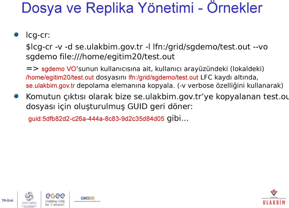 out => sgdemo VO sunun kullanıcısına ait, kullanıcı arayüzündeki (lokaldeki) /home/egitim20/test.out dosyasını lfn:/grid/sgdemo/test.