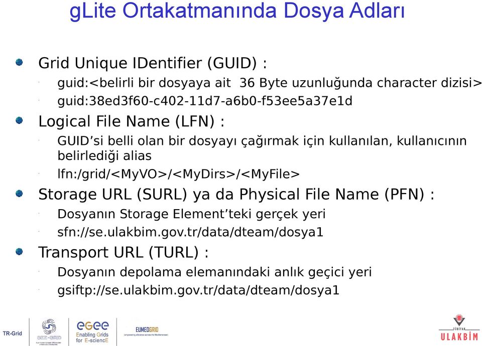 belirlediği alias lfn:/grid/<myvo>/<mydirs>/<myfile> Storage URL (SURL) ya da Physical File Name (PFN) : Dosyanın Storage Element teki gerçek