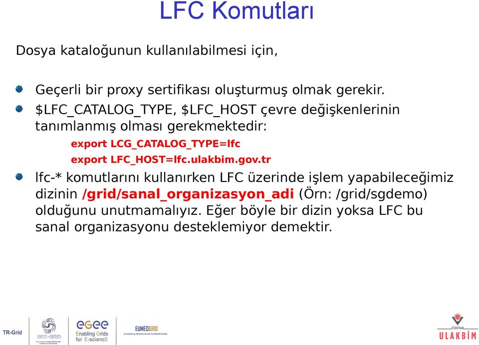 LFC_HOST=lfc.ulakbim.gov.