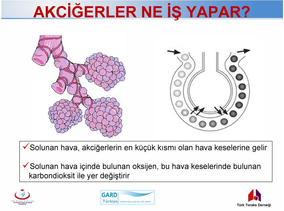 hava keselerine gelir Solunan hava içinde bulunan