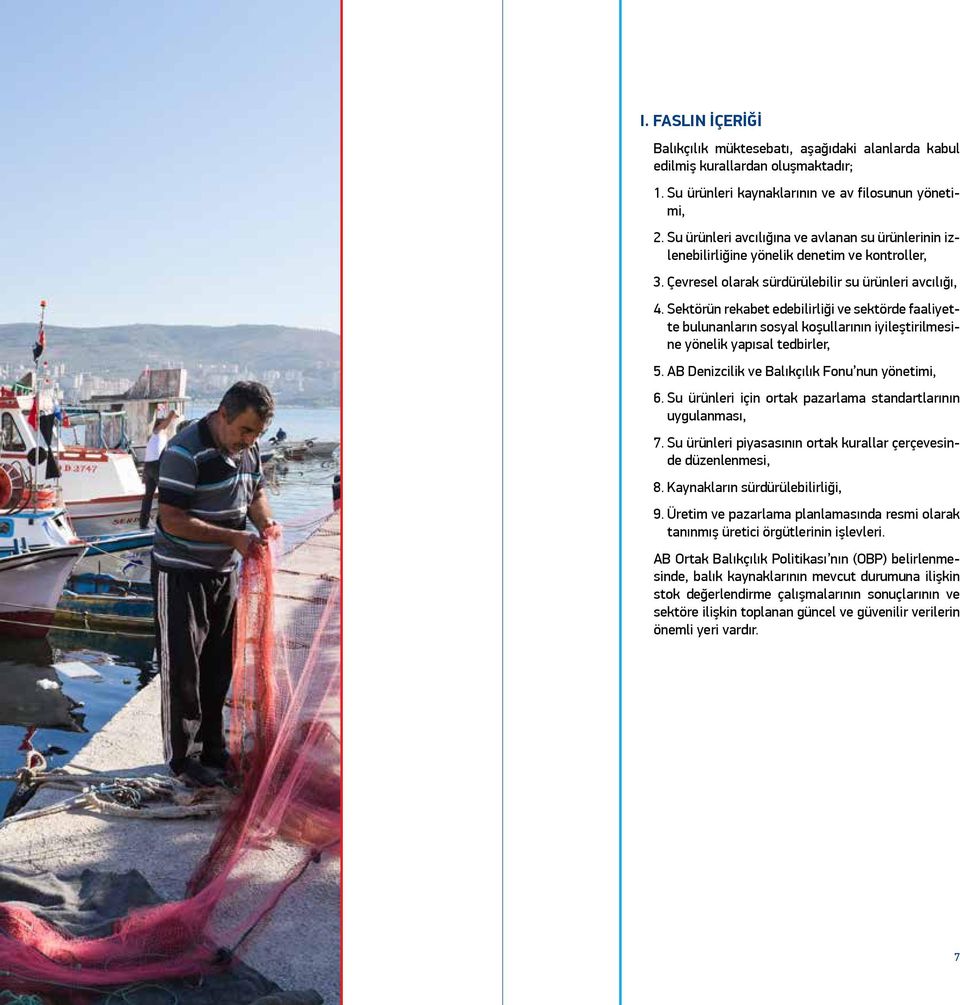 Sektörün rekabet edebilirliği ve sektörde faaliyette bulunanların sosyal koşullarının iyileştirilmesine yönelik yapısal tedbirler, 5. AB Denizcilik ve Balıkçılık Fonu nun yönetimi, 6.
