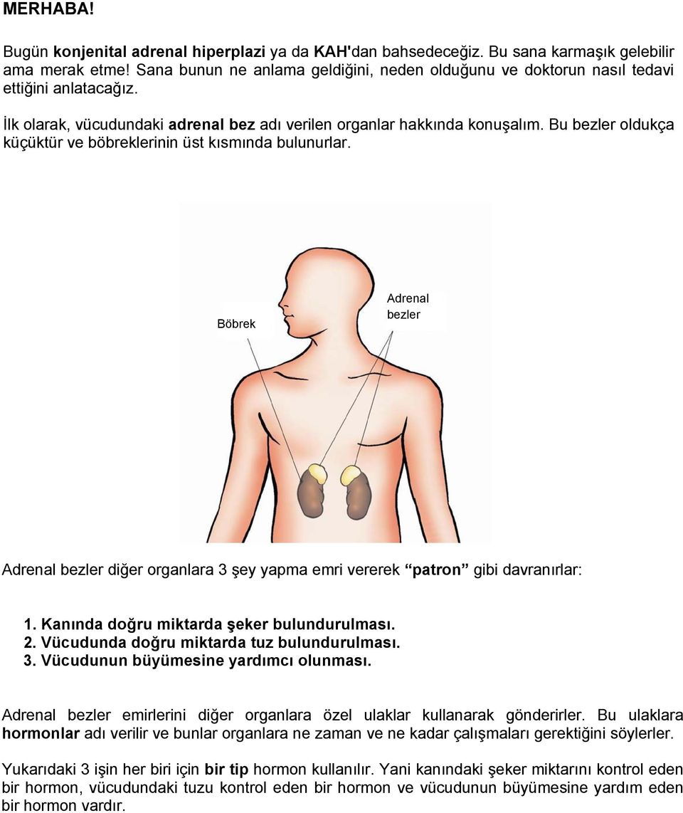 Bu bezler oldukça küçüktür ve böbreklerinin üst kısmında bulunurlar. Böbrek Adrenal bezler Adrenal bezler diğer organlara 3 şey yapma emri vererek patron gibi davranırlar: 1.