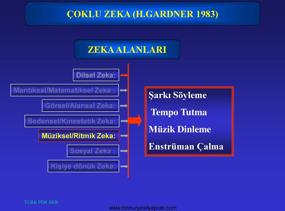 Mantıksal/Matematiksel Zeka : Görsel/Alansal Zeka: