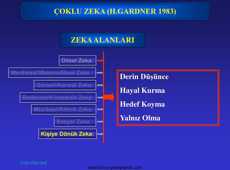 Mantıksal/Matematiksel Zeka : Görsel/Alansal Zeka: