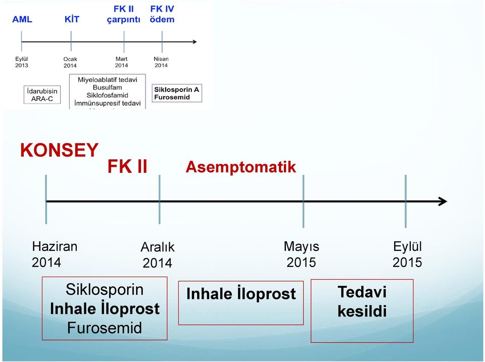 2015 Siklosporin Inhale İloprost