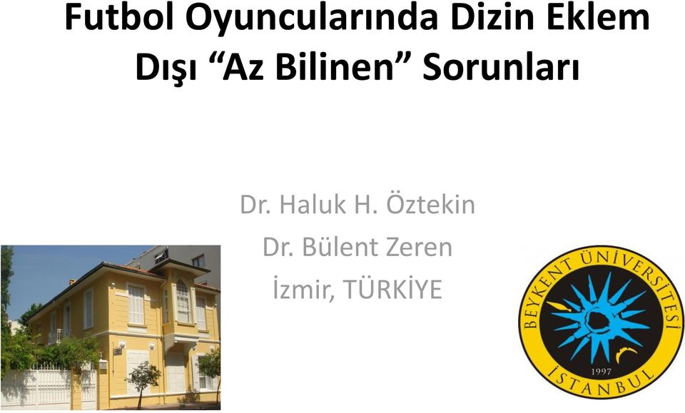 Sorunları Dr. Haluk H.