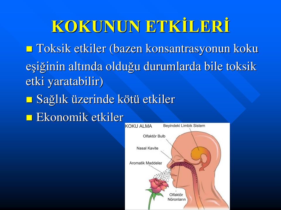 olduğu durumlarda bile toksik etki