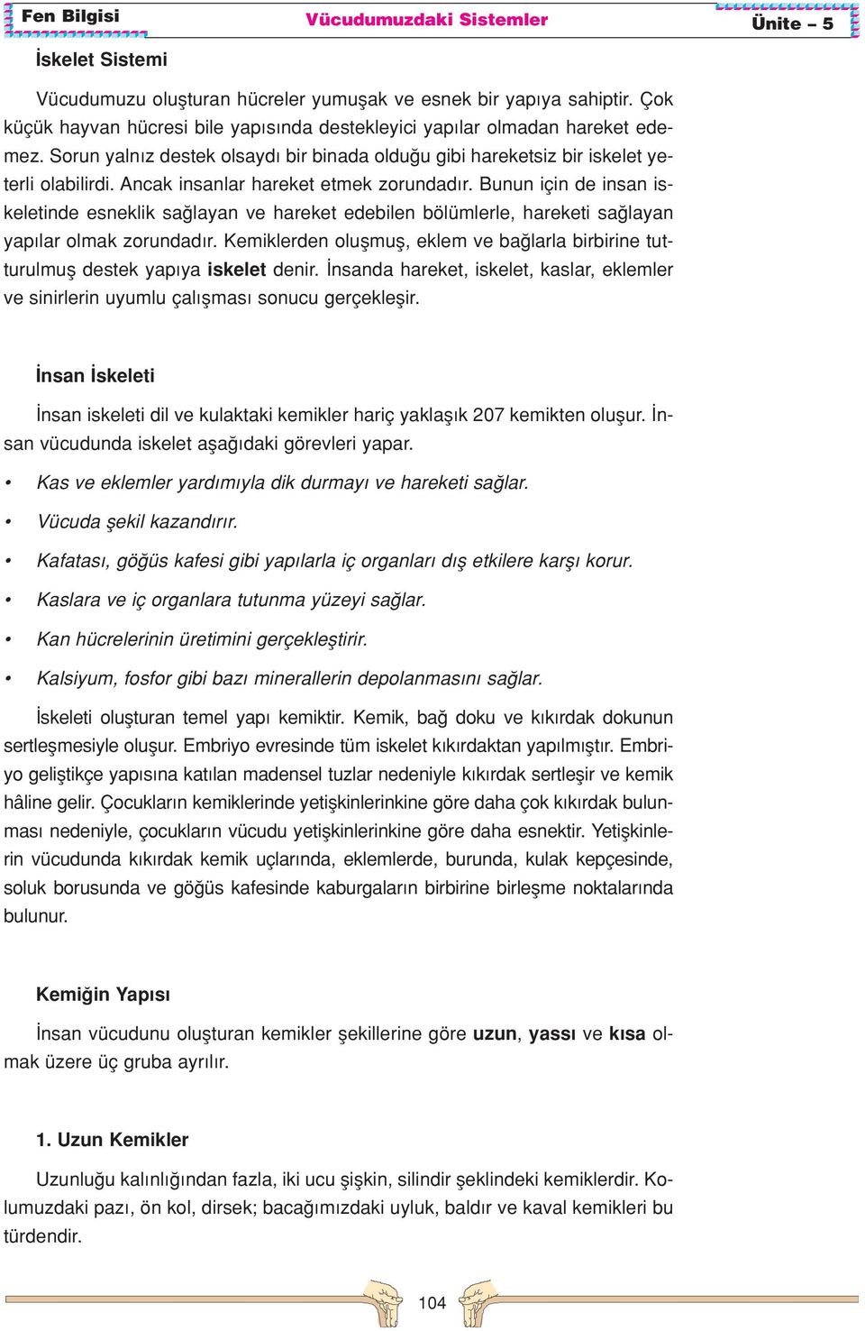 Bunun için de insan iskeletinde esneklik sa layan ve hareket edebilen bölümlerle, hareketi sa layan yap lar olmak zorundad r.