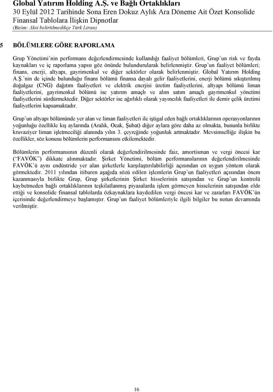 nin de içinde bulunduğu finans bölümü finansa dayalı gelir faaliyetlerini, enerji bölümü sıkıştırılmış doğalgaz (CNG) dağıtım faaliyetleri ve elektrik enerjisi üretim faaliyetlerini, altyapı bölümü