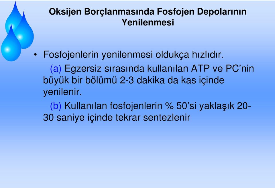 (a) Egzersiz sırasında kullanılan ATP ve PC nin büyük bir bölümü 2-3