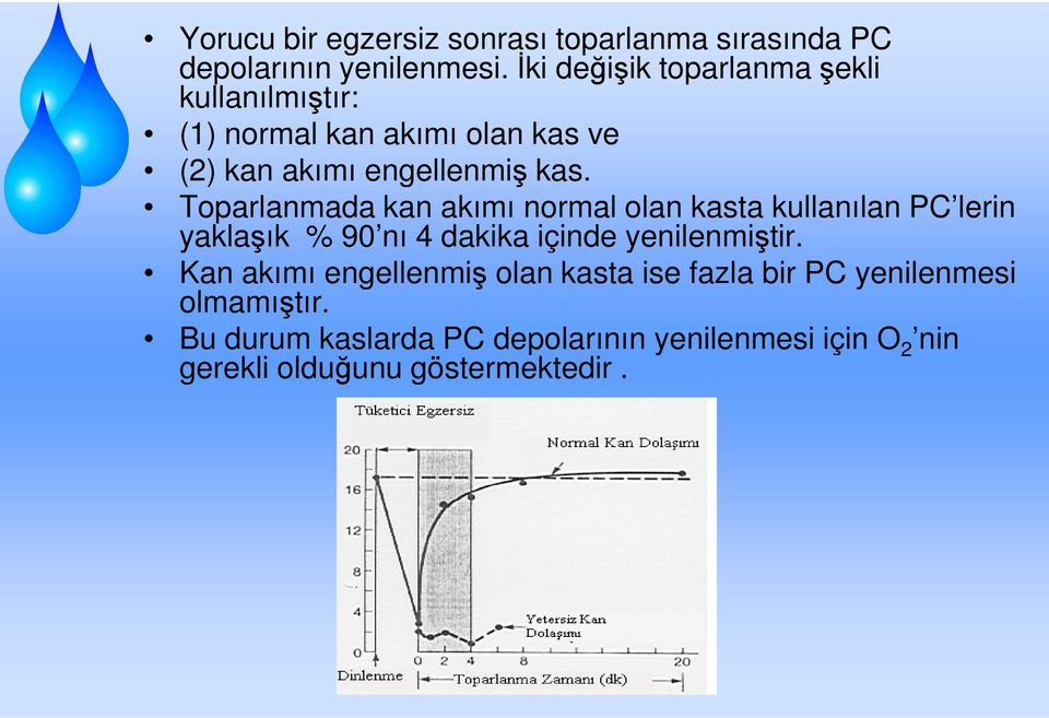 Toparlanmada kan akımı normal olan kasta kullanılan PC lerin yaklaşık % 90 nı 4 dakika içinde yenilenmiştir.