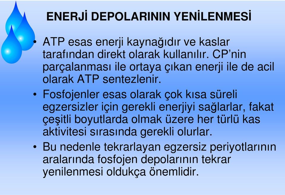 Fosfojenler esas olarak çok kısa süreli egzersizler için gerekli enerjiyi sağlarlar, fakat çeşitli boyutlarda olmak