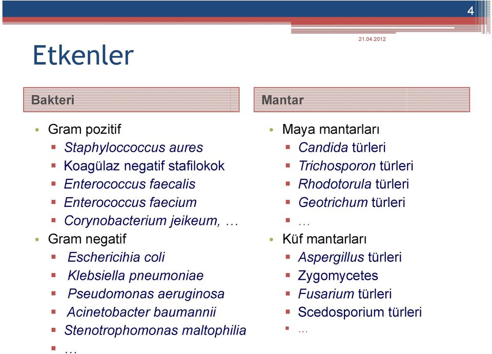 aeruginosa Acinetobacter baumannii Stenotrophomonas maltophilia Mantar Maya mantarları Candida türleri Trichosporon