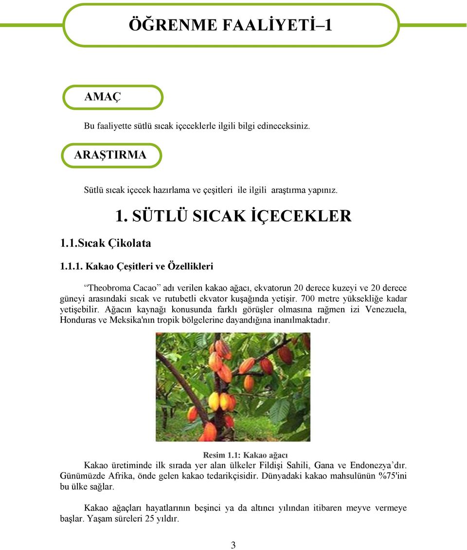 700 metre yüksekliğe kadar yetişebilir. Ağacın kaynağı konusunda farklı görüşler olmasına rağmen izi Venezuela, Honduras ve Meksika'nın tropik bölgelerine dayandığına inanılmaktadır. Resim 1.