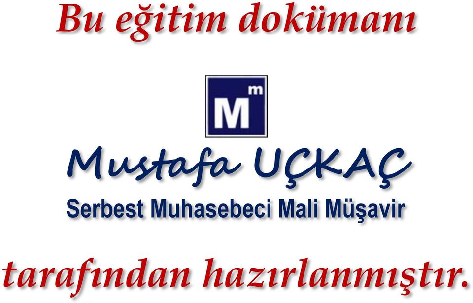 Muhasebeci Mali