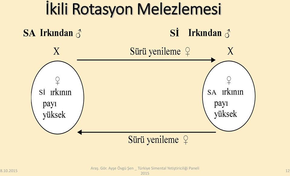 yenileme X B ırkının payı yüksek Sİ