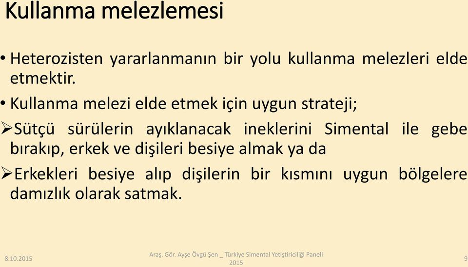 Kullanma melezi elde etmek için uygun strateji; Sütçü sürülerin ayıklanacak